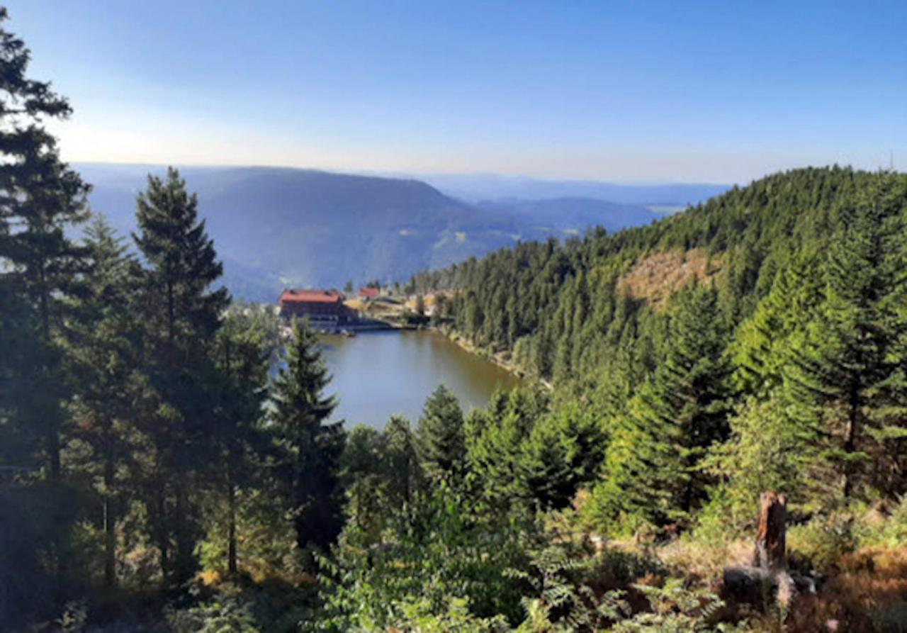 Appartamento Fuchsbau Baiersbronn Esterno foto
